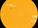 Sunspot complex AR3131-3133 is crackling with C-class solar flares. [Photo courtesy of NASA SDO/HMI]